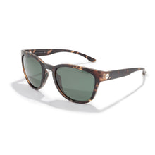 画像をギャラリービューアに読み込む, トペカ トータスフォレスト/Topekas Tortoise Forest