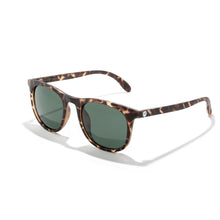 画像をギャラリービューアに読み込む, シークリフ トータスフォレスト/Seacliffs Tortoise Forest