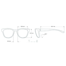 画像をギャラリービューアに読み込む, トペカ トータスアンバー/Topekas Tortoise Amber