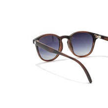 画像をギャラリービューアに読み込む, ユバ トータスオーシャン/Yubas Tortoise Ocean