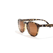 画像をギャラリービューアに読み込む, ユバ トータスアンバー/Yubas Tortoise Amber