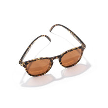 画像をギャラリービューアに読み込む, ユバ トータスアンバー/Yubas Tortoise Amber