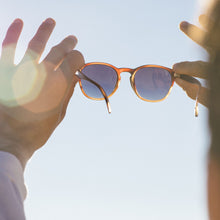 画像をギャラリービューアに読み込む, ユバ トータスオーシャン/Yubas Tortoise Ocean