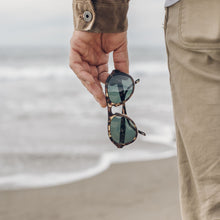 画像をギャラリービューアに読み込む, ツリーライン トータスフォレスト/Treelines Tortoise Forest