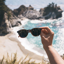 画像をギャラリービューアに読み込む, ユバ トータスオーシャン/Yubas Tortoise Ocean