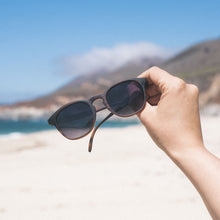 画像をギャラリービューアに読み込む, ユバ トータスオーシャン/Yubas Tortoise Ocean